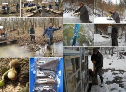 Can You Have Too Much Organic Matter in Your Soil? Image